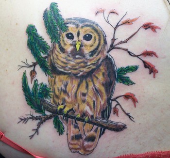 Tattoos owl